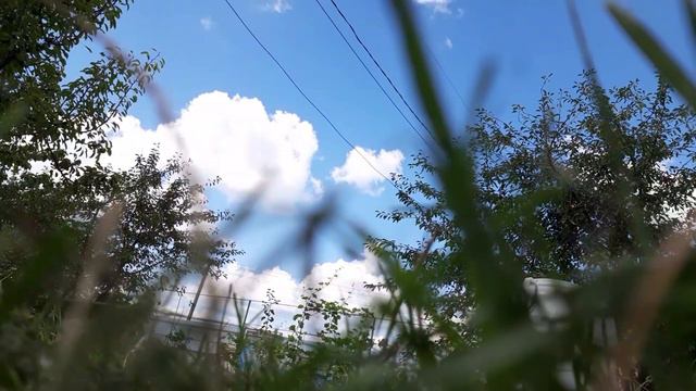 Зарыбление пруда маленькими карасиками. смотреть онлайн