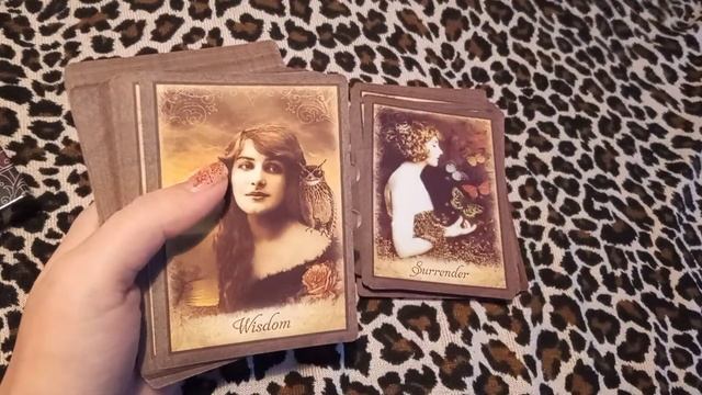 Старинный Оракул Мудрости (т.н. "Винтажный Оракул")/Vintage Wisdom Oracle. Обзор колоды смотреть онлайн