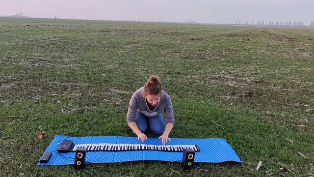 Лёгкие джазовые пьессы. Just Struttin' Along, Martha Mier. Rollpiano, гибкое пианино. смотреть онлайн