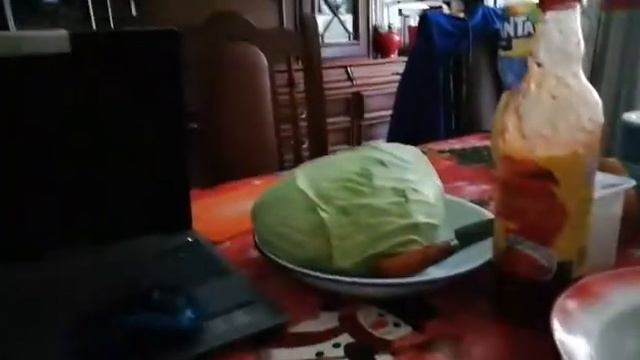 VID 20210204 WA0001 " Печень трески ". смотреть онлайн