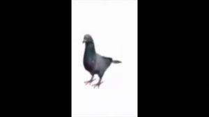 Я внебрачный сын тайской шл*хи