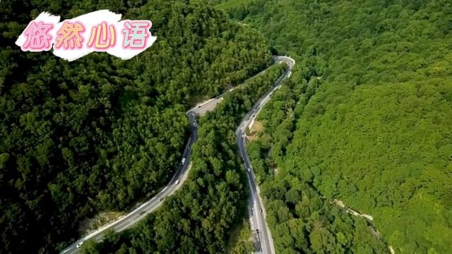 （完整版）成为百亿总裁夫人，每天50万零用钱随便花，豪门霸总宠妻宠上天 смотреть онлайн