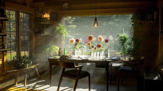 [Piano] Quiet Piano For Hope And Acceptance In Times Of Hardship