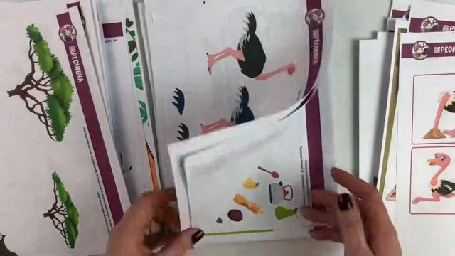 Тематический комплект животные жарких стран смотреть онлайн