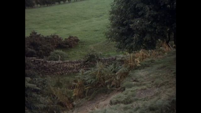 Hunting Film - Monty Python's Flying Circus - S01E09 смотреть онлайн