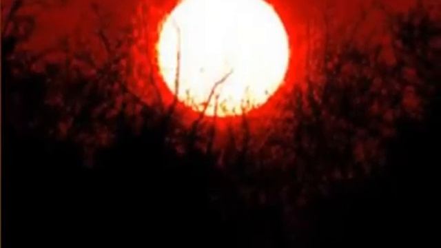 scp-001 когда утро начинается смотреть онлайн