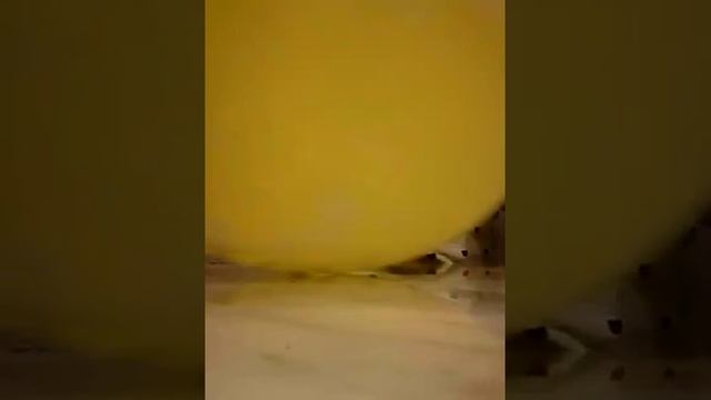 Лайфхак а может не лайфхак смотреть онлайн