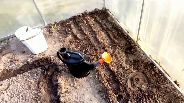 Начало сезона весенней посадки ,первый оборот в теплице