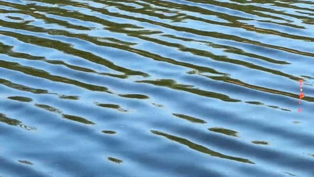 Мой Приморско-Ахтарск. Отдых на воде смотреть онлайн