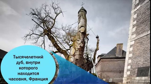 7 фотографии о том, что мир удивительнее, чем кажется смотреть онлайн