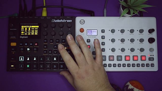 Techno Jam With Vocals? // DIGITAKT + Model:Samples