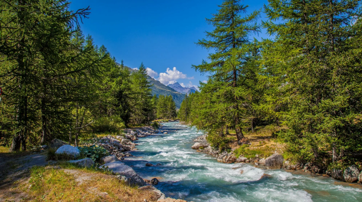 Успокаивающий лесной горный ручей ✦ Успокаивающие Звуки ✦ Relax Sleep смотреть онлайн