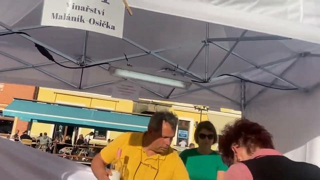 Праздник вина в Чехии смотреть онлайн
