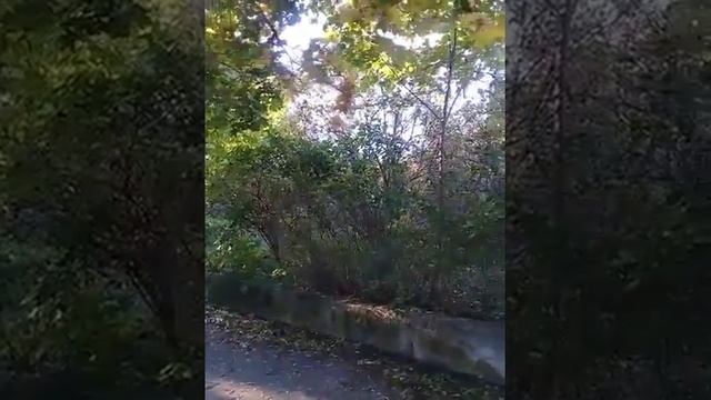 Еще раз про дачу Башкирцева смотреть онлайн