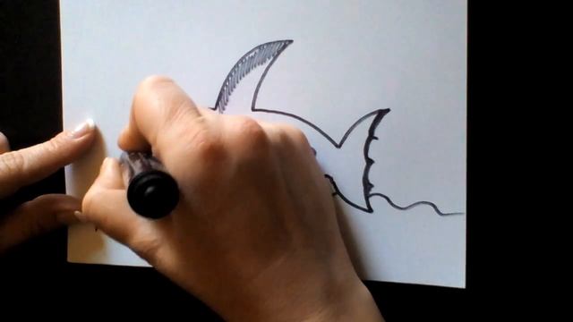 HOW TO DRAW A ORCA Whale  \  CÓMO DIBUJAR UNA Ballena ORCA  \  COMMENT DESSINER UNE ORQUE