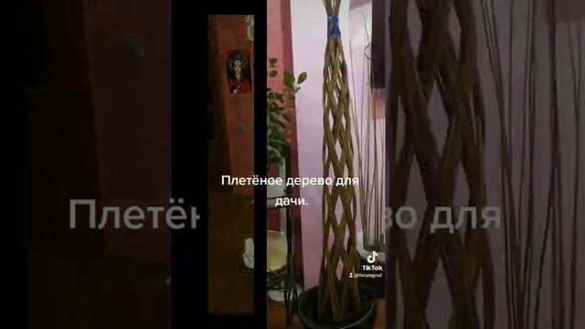 живое дерево из лозы. смотреть онлайн