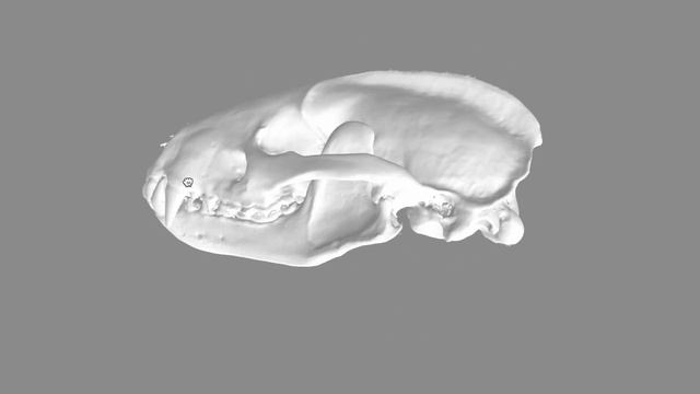 Revopoint MINI 2 , Amazing High Detail 3D scanning смотреть онлайн