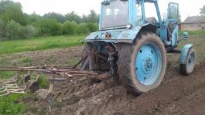 #ТРАКТОР МТЗ-80# ОКУЧИВАНИЕ КАРТОФЕЛЯ ОКУЧНИК С БОРОНОЙ# СОВЕТУЕМ ПРОСМОТРЕТЬ#