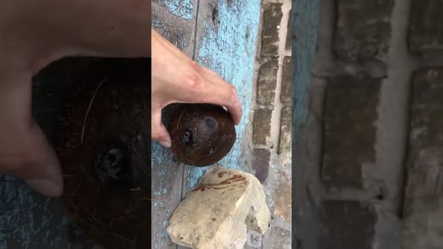 Вазон под цветок. Часть 1 смотреть онлайн