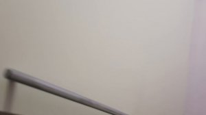 день блекпинк 1