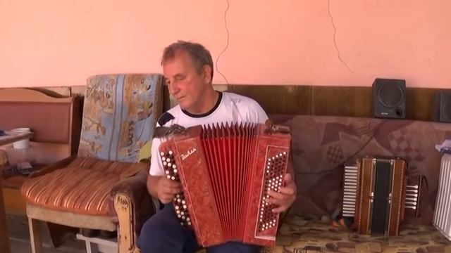 25. 08. 2018 год. Гармонь- баян. Н.Т. Козлов. Липецк . смотреть онлайн
