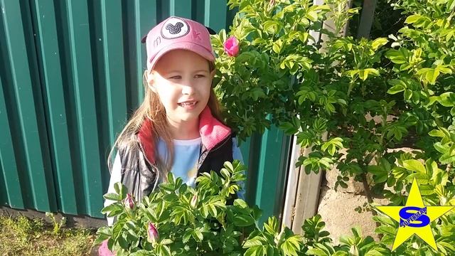 СТИШОК. ВЫШЕЛ ЗАЙЧИК ПОГУЛЯТЬ. РАЗ ДВА ТРИ ЧЕТЫРЕ ПЯТЬ смотреть онлайн