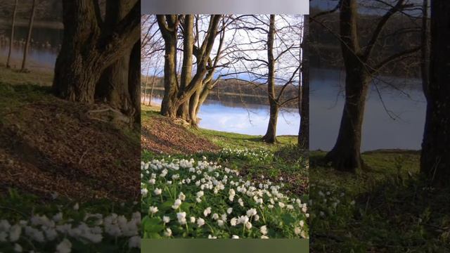 Всем мира и весеннего настроения!