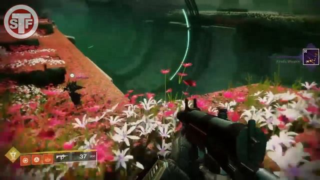 Destiny 2 Divinity | Boskość | Jak zdobyć | Poradnik смотреть онлайн