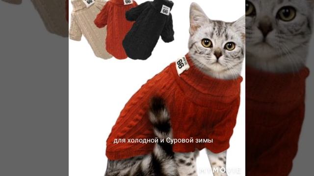Одежда для котов. смотреть онлайн