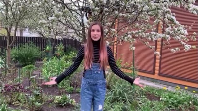 Чудеса смотреть онлайн