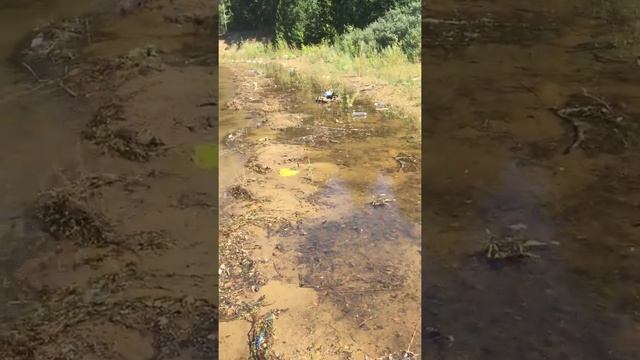 Иркутянин призывает волонтеров очистить от мусора территорию Ершовского залива смотреть онлайн