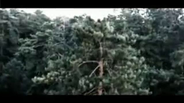 Искуи Абалян и Сивичанка — Зязюля (Кукушка) смотреть онлайн