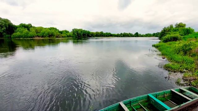 Течение реки. Живая фотография 😄 смотреть онлайн