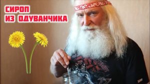 Пей ЭТО для крепкого здоровья! Сироп из одуванчиков своими руками