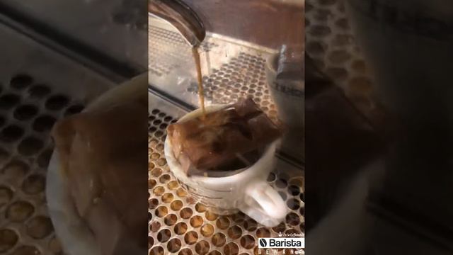 Mocha Espresso A New Drink!!! смотреть онлайн