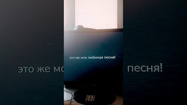 СЛАВНЫЙ ГОРОД КОСТРОМА В ЗАКРОМАХ ПОЛНО УМА КОЛЬ УМА КУДА КОМУ НАДО ЕХАТЬ В КОСТРОМУ #кострома #рек смотреть онлайн