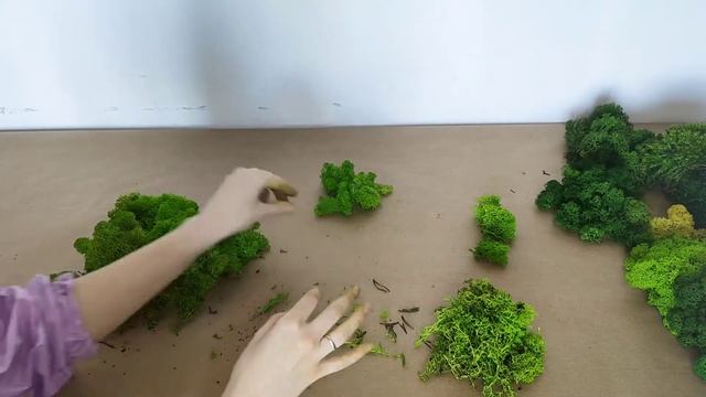 Часть 5. Очистка мха ягеля, прованса, кочки. смотреть онлайн