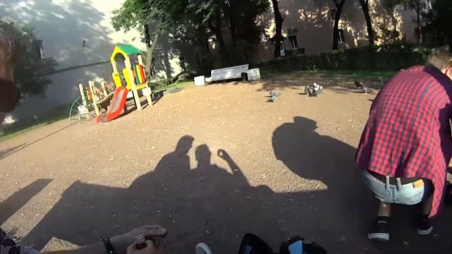 В мире Животных. Как поймать голубя на Шаверму??? смотреть онлайн