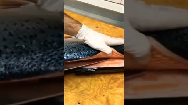 Разделька семги. Лосось. красная рыба
qizil balig смотреть онлайн