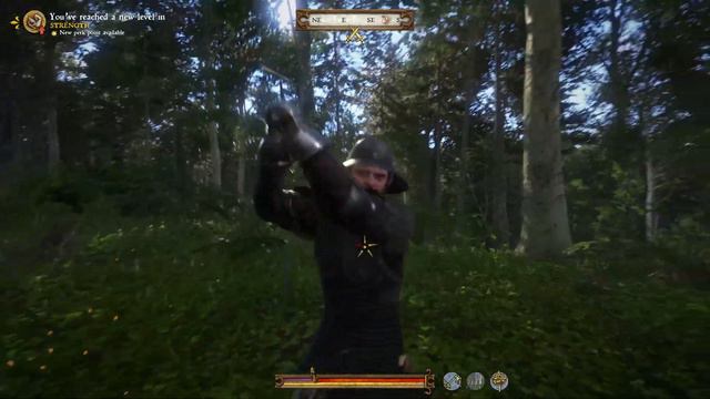 Kingdom Come Deliverance Part 9: Unmasking the Counterfeit Coin Scheme | No Commentary | Gumaden смотреть онлайн