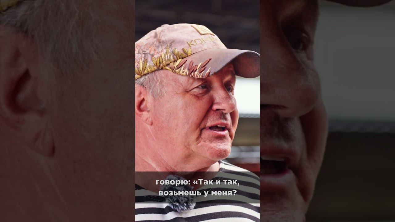 Герефорд VS Ангус #фермер #животноводство #ангус #герефорд смотреть онлайн