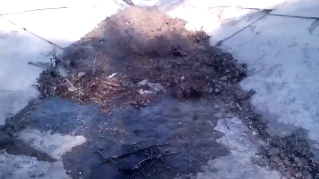 В какао воде мы купаемся. Каховское  МУВГ .ПК 146