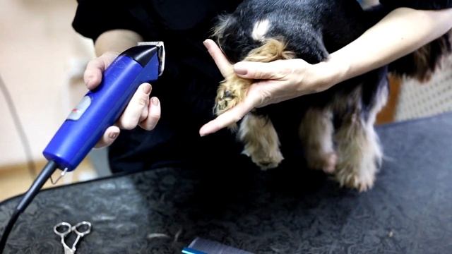 Как создать классическую стрижку Йорка - Мастер класс. смотреть онлайн