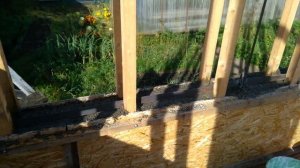 Арболит монолит результаты первых  4-х дней заливки