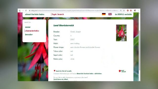 Фуксии: ресурсы, сайты, базы данных смотреть онлайн