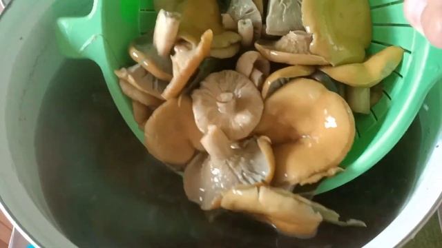 Засолка рыбы и икры в домашних условиях