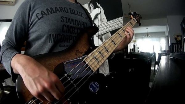Guthrie Govan - Wonderful Slippery Thing (Bass Cover)