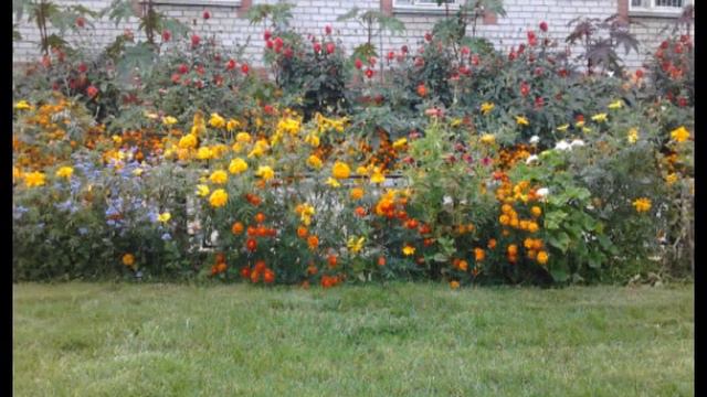 база отдыха"Газовик" смотреть онлайн