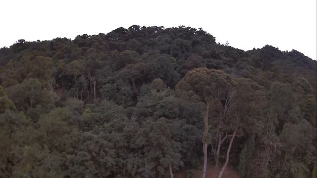 test drone bugs 5w смотреть онлайн