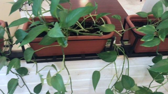 Как отвечать на вопросы о бывших смотреть онлайн